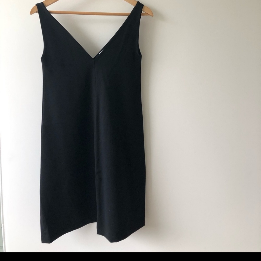Everlane deep V-neck A-line Dress